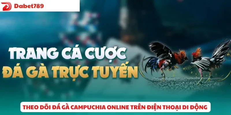 Theo dõi đá gà Campuchia online trên điện thoại di động